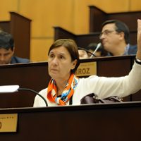 El MPN apuntó a Encarnación Lozano como representante en el Consejo de la Magistratura