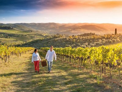 Las nuevas Rutas del Vino en Mendoza serán con picnics y al aire libre