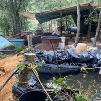 DEA revela que tres cárteles del narcotráfico operan en Hidalgo