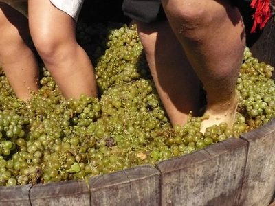 El año en que las vendimias se celebraron por zoom