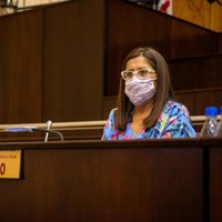 Teresa Rioseco propuso un programa provincial de prevención de intoxicación por monóxido de carbono