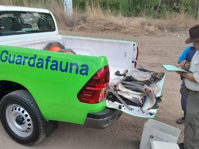 La Dirección Provincial de Fauna dependerá ahora del Ministerio de Seguridad