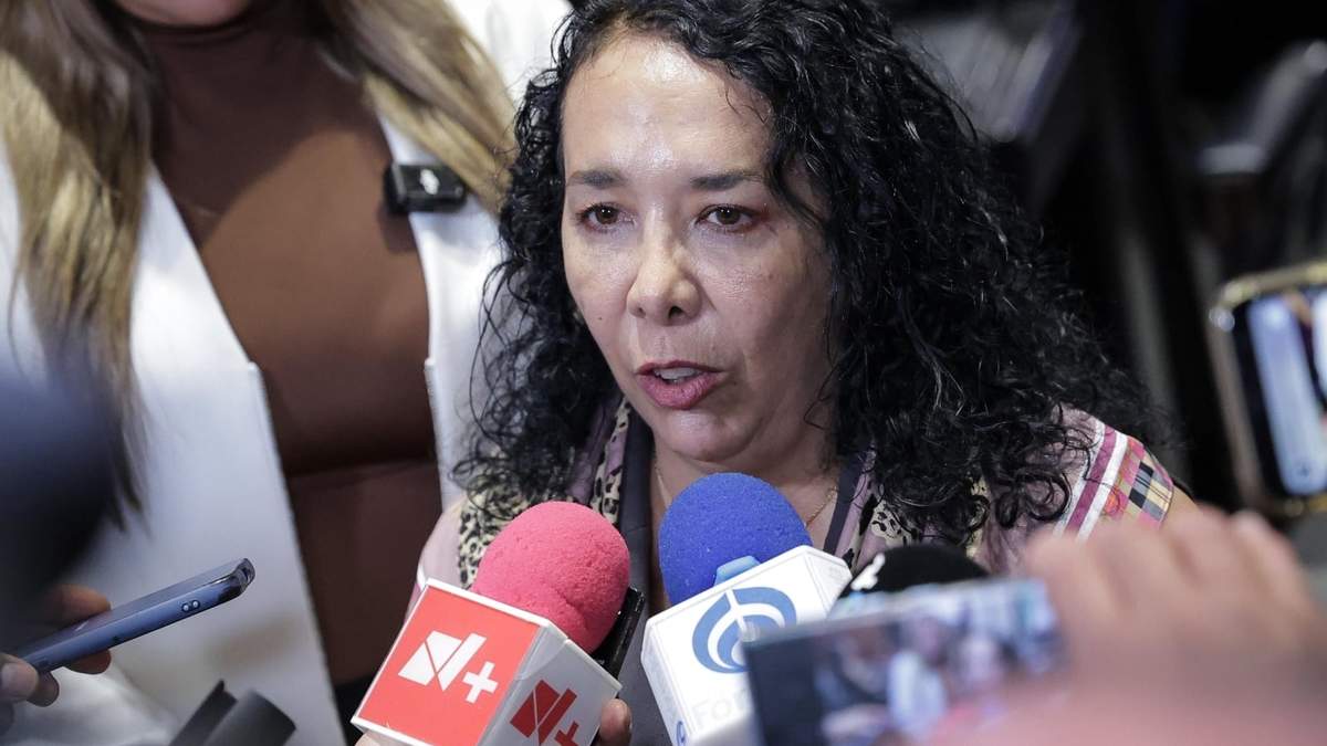 La diputada de Morena Hilda Araceli Brown