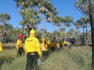 Brigadistas advirtieron que no van a salir a combatir el fuego si hay algún incendio forestal