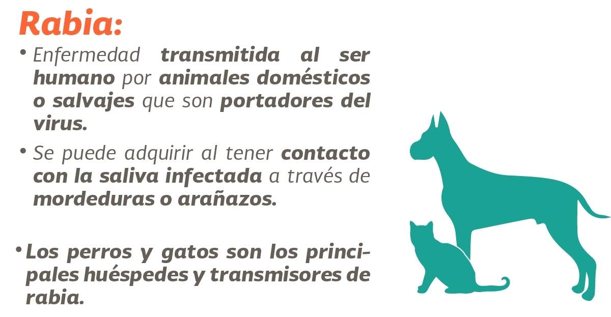 Rabia. Fuente: (Twitter)