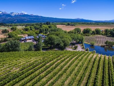 Viñedos y el mejor entorno para disfrutar de la Cordillera