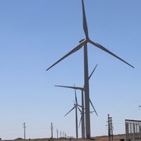 Se inauguró el Parque Eólico Vientos del Secano en Villarino