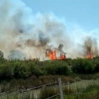 Un fuego descontrolado afectó más de 130 hectáreas en San Patricio del Chañar