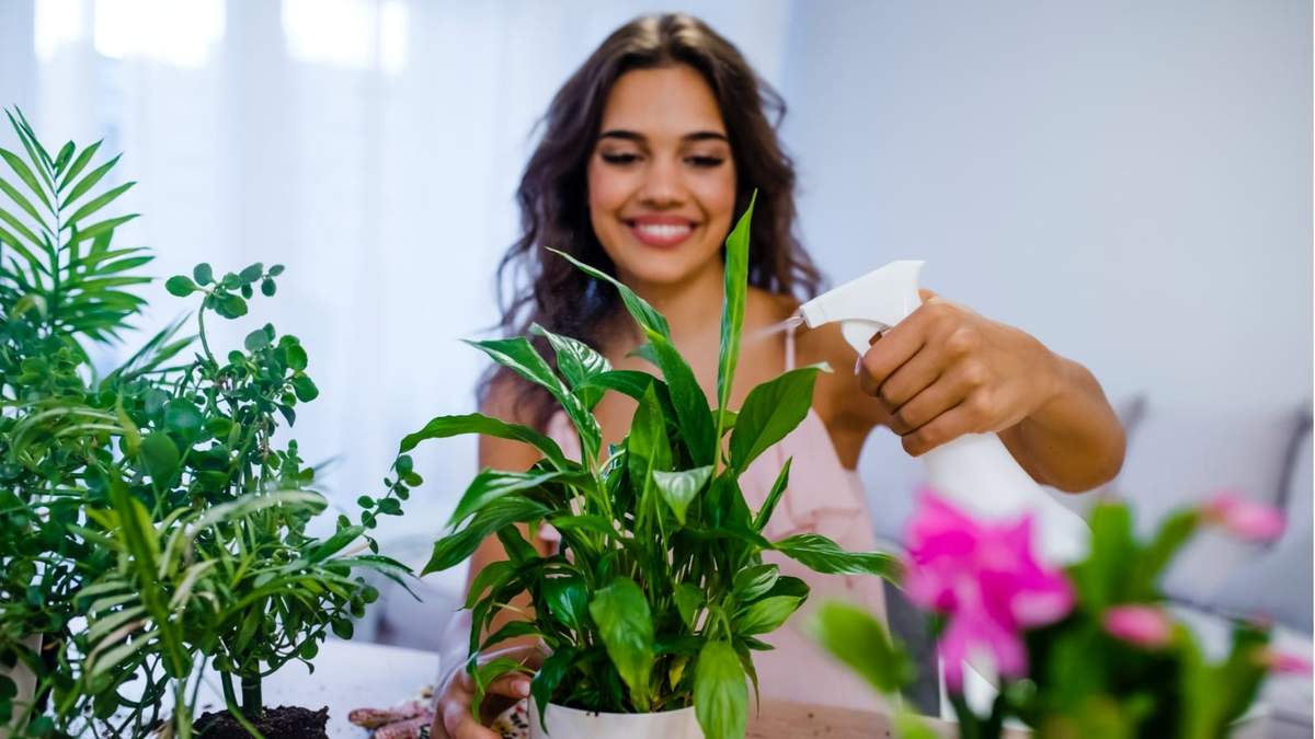 Plantas. Fuente: (Instagram)