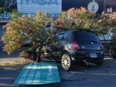 Conductor alcoholizado se incrustó con un cartel en la Avenida Mosconi