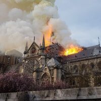 Se incendia Catedral de Notre Dame (Videos)