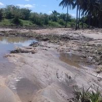 En Tomatlán, piden declaratoria de emergencia tras afectaciones por el huracán Willa
