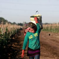 México esquiva la recesión con alfileres en el primer trimestre de 2025: Inegi