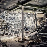 El 'universo sombrío” de Meyers: 25 mil m² de arte urbano a punto de ser destruidos