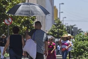 Ola de calor: Registran tres muertes en la Cuenca del Papaloapan