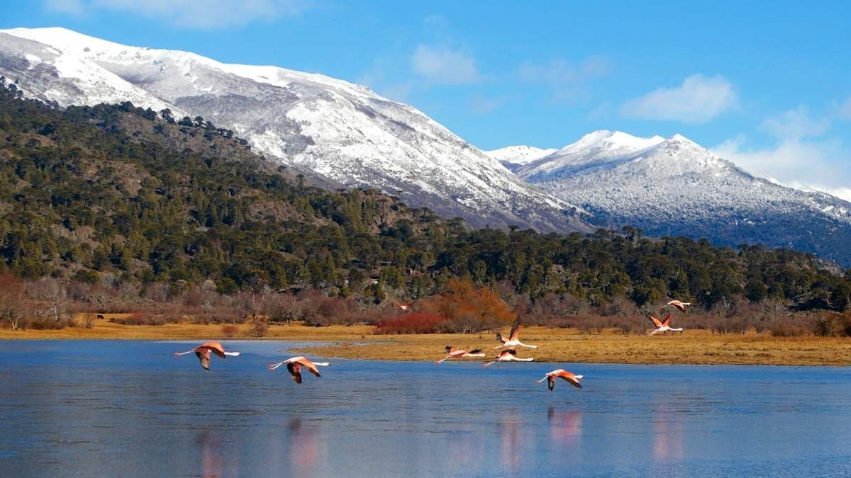 Clima agradable en Neuquén. Fuente: (Twitter)
