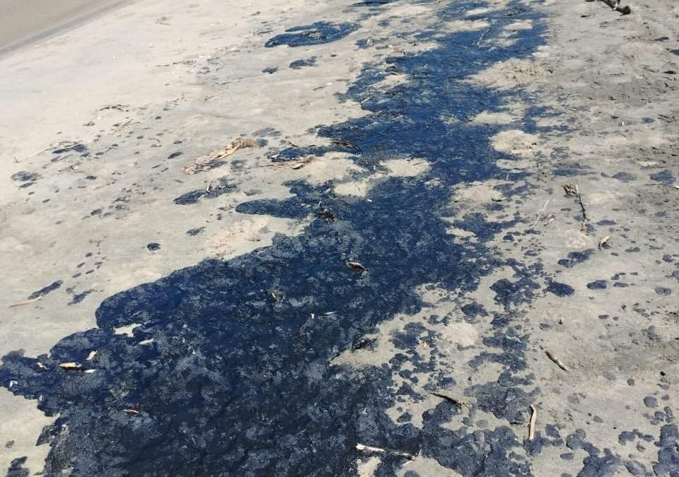Derrame de hidrocarburos en playas de Tabasco, el martes 3 de marzo de 2026