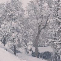 Emiten alerta amarilla por nevadas en Neuquén y Río Negro durante el finde largo