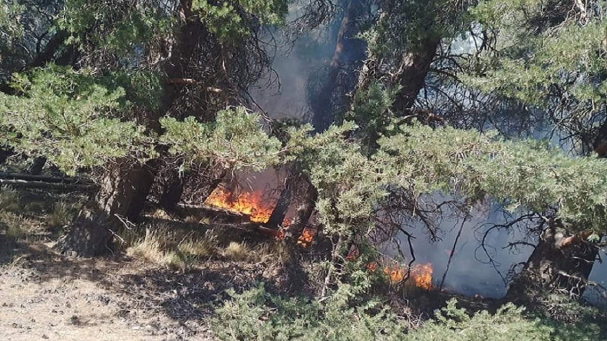 Incendio en la estancia Cerro Los Pinos. Fuente (RSM).