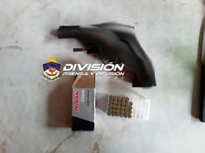En una investigación por violencia doméstica secuestraron un arma