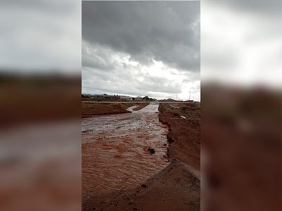 Temporal en Rincón de los Sauces: calles inundadas y rutas cortadas