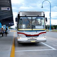 General Roca sigue sin transporte urbano y negocia con cinco empresas