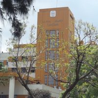 Mejora el paciente al que le negaron tratamiento con plasma