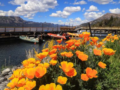 Clima en Neuquén: continúan las altas temperaturas pero con cielo nublado