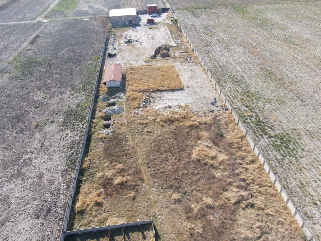 WhatsApp Image 2025-04-04 at 11.17.03 PM