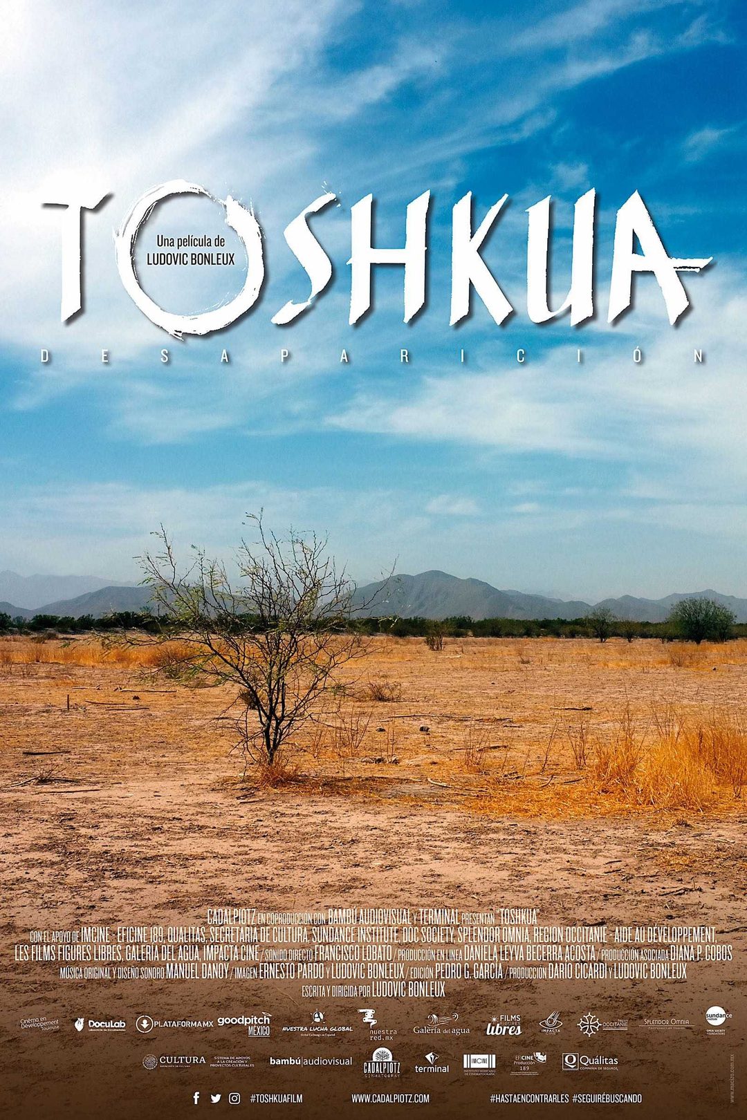 FestCartel Toshkua Desierto