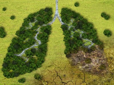 Es ahora: 230 revistas científicas llaman a los gobiernos a tratar con urgencia la crisis climática