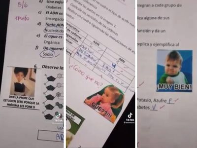 Maestra califica con memes a sus alumnos y se vuelve viral