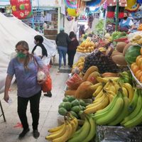 El IMEF baja su previsión de crecimiento para economía mexicana a -8.5% para 2020