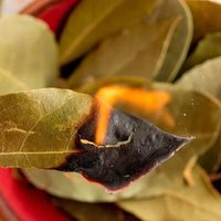 Qué día de la semana tenés que quemar una hoja de laurel si querés atraer la abundancia y el dinero a tu vida