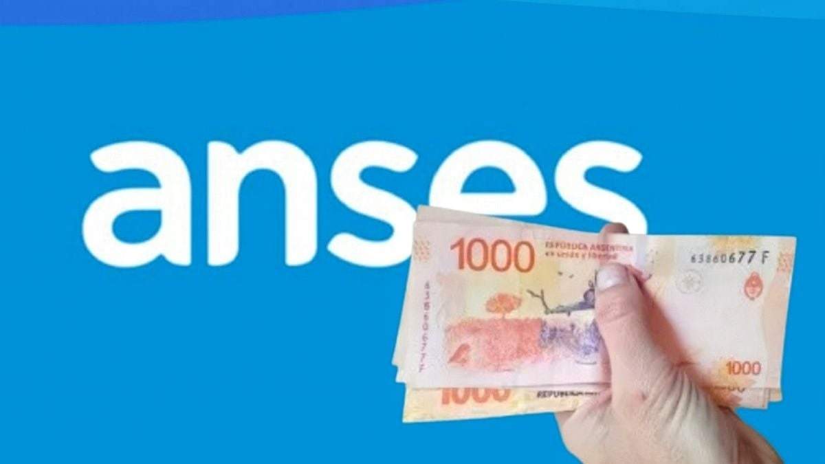 "ANSES". Fuente: (Instagram)