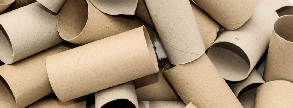 Rollos de papel higiénico. Fuente: (Hogar Blogs Mapfre)