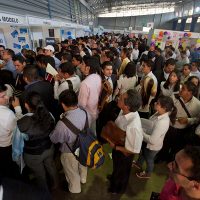 Hasta 24.7 millones de personas perderían su empleo este año por la pandemia: OIT