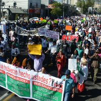 Gasolinazo: ocho días de ira (imágenes)