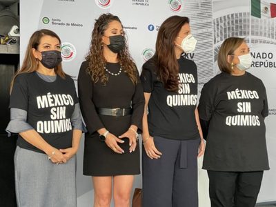 Panistas reclaman en el Senado por desabasto de medicamentos contra el cáncer