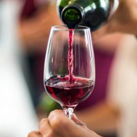 AFIP desbarató un cargamento de más de 12 mil vinos de alta gama en la frontera misionera
