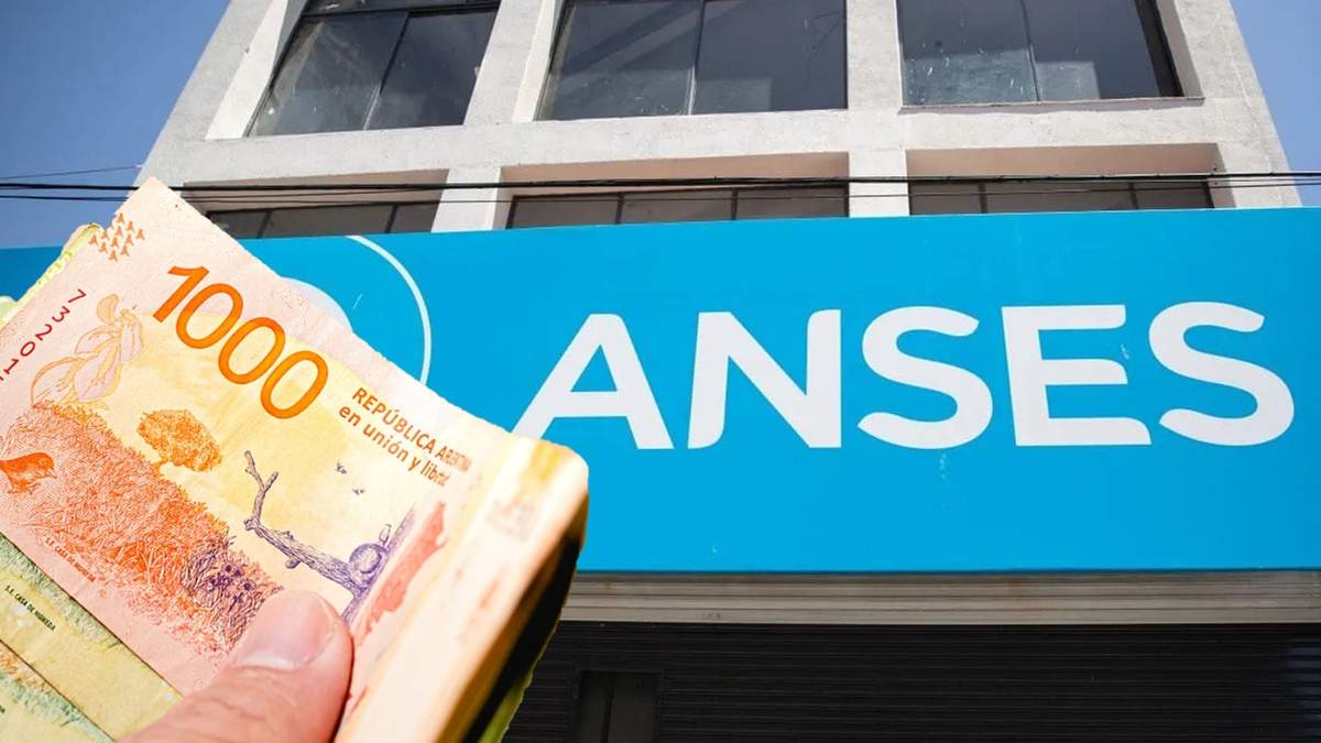 ANSES. Fuente: (Instagram)