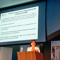 Mezcla de estupefacientes con alcohol potencia daños a la salud, advierte la titular de los CIJ