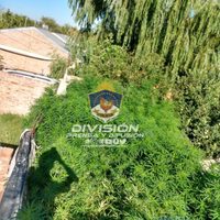 Una verdadera selva de cannabis sativa: La Policía incautó 69 plantas en una vivienda