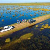 Naturaleza en los esteros correntinos: kayak, pesca y avistaje de aves