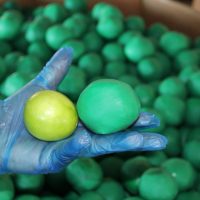 Aseguran 1.8 toneladas de mariguana oculta en limones falsos que irían a EU