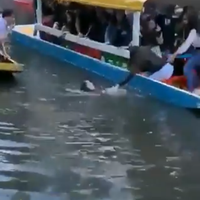 Pese a medidas de seguridad, cae otra joven en uno de los canales de Xochimilco