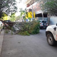 El temporal de viento se hace sentir en la Provincia