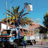 Otro robo de cables en Centenario preocupa a la Cooperativa Telefónica