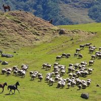 Cómo evolucionará el turismo Rural en Argentina post coronavirus