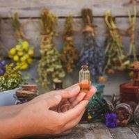 Con hierbas que usás en la cocina: el poderoso ritual para atraer la abundancia y prosperidad